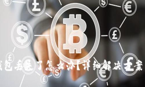 Token.im钱包丢失了怎么办？详细解决方案与应对措施