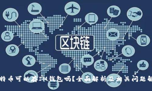 莱特币可以存IM钱包吗？全面解析及相关问题解答