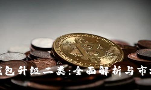 数字钱包升级二类：全面解析与市场前景