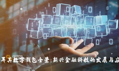 土耳其数字钱包全景：新兴金融科技的发展与应用