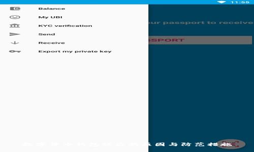 数字货币钱包被盗的原因与防范措施