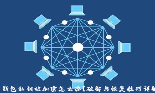 
 钱包私钥被加密怎么办？破解与恢复技巧详解