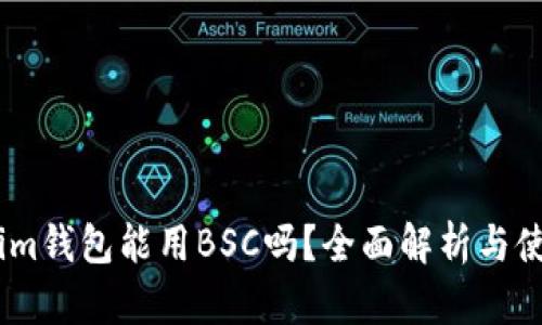 Token.im钱包能用BSC吗？全面解析与使用指南