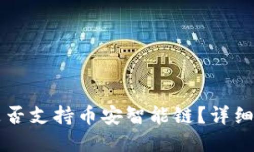 Token.im钱包是否支持币安智能链？详细解答与使用指南