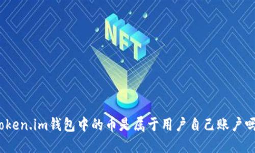 Token.im钱包中的币是属于用户自己账户吗？