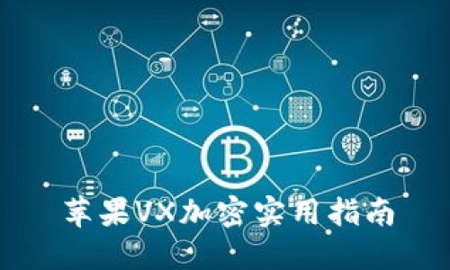 苹果VX加密实用指南