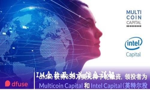 IM全称及相关信息详解